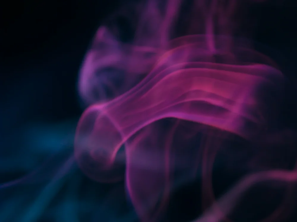 Cost-Efficiency and Velocity: How Healthcare Cloud Software Does in All