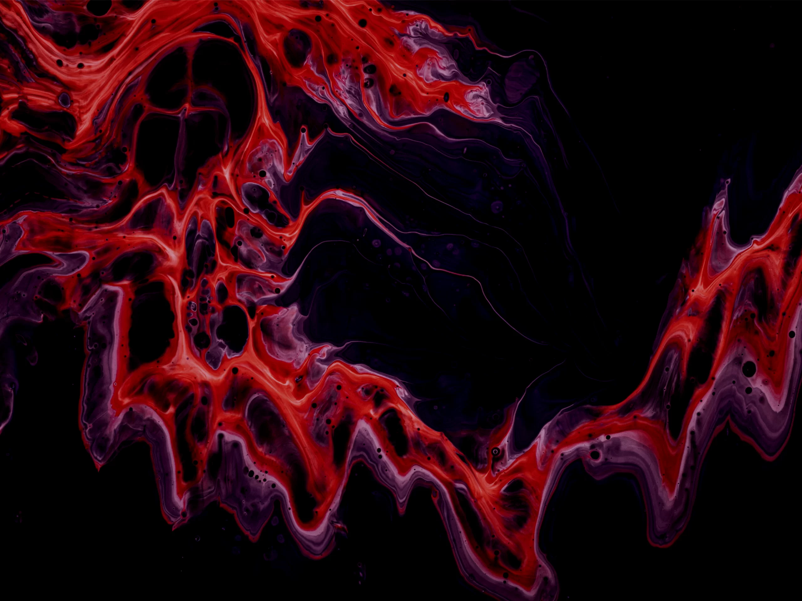 Mastering Epic Implementation: A Comprehensive Guide to EHR Transformation and Future-Proofing