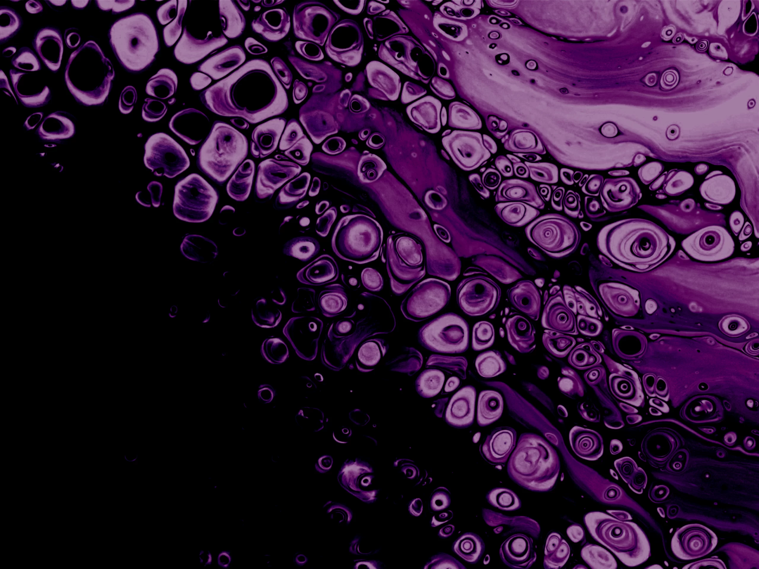 eClinicalWorks vs Epic: The Ultimate Showdown for Private Practices and Large Health Systems