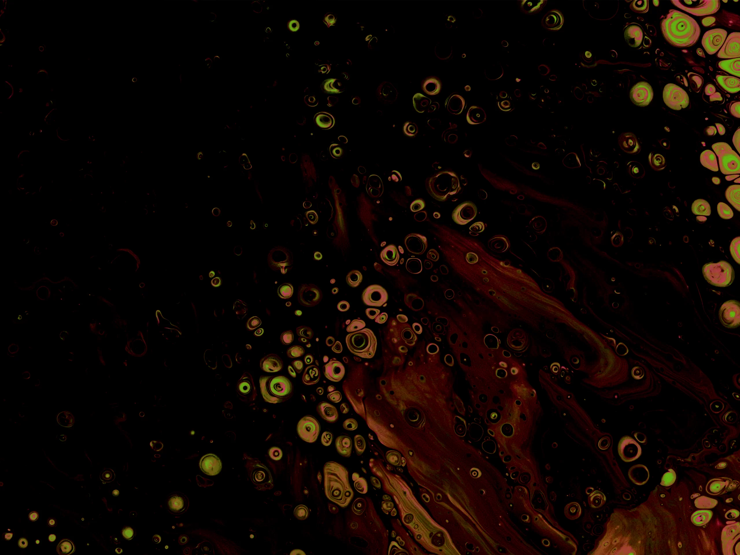 Conquering the Burden: How Intelligent AI Medical Documentation Elevates Data Quality and Patient Storytelling