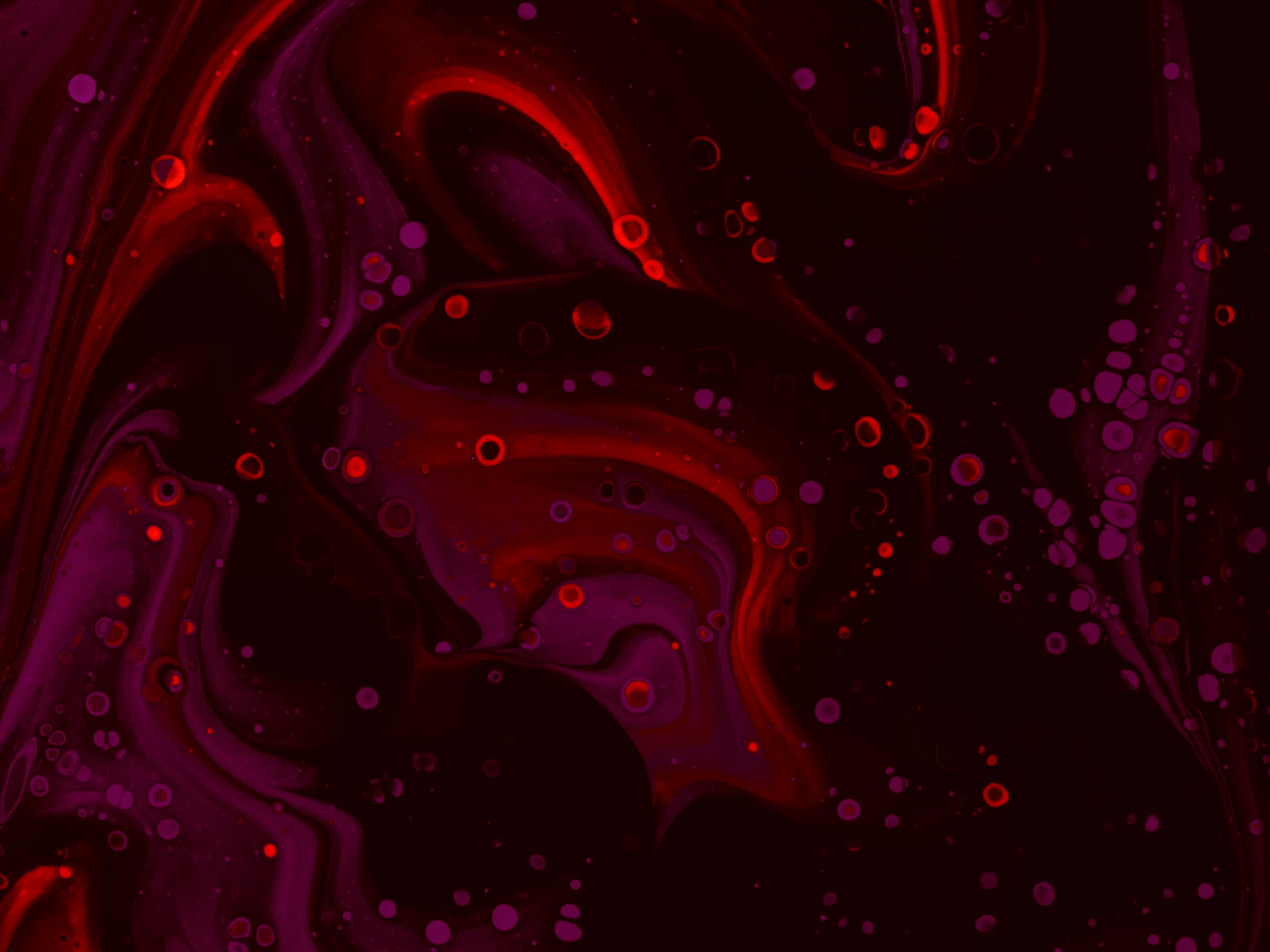 Unpacking the Billions: A Statistical Deep Dive into the AI Voice Agents in Healthcare Market