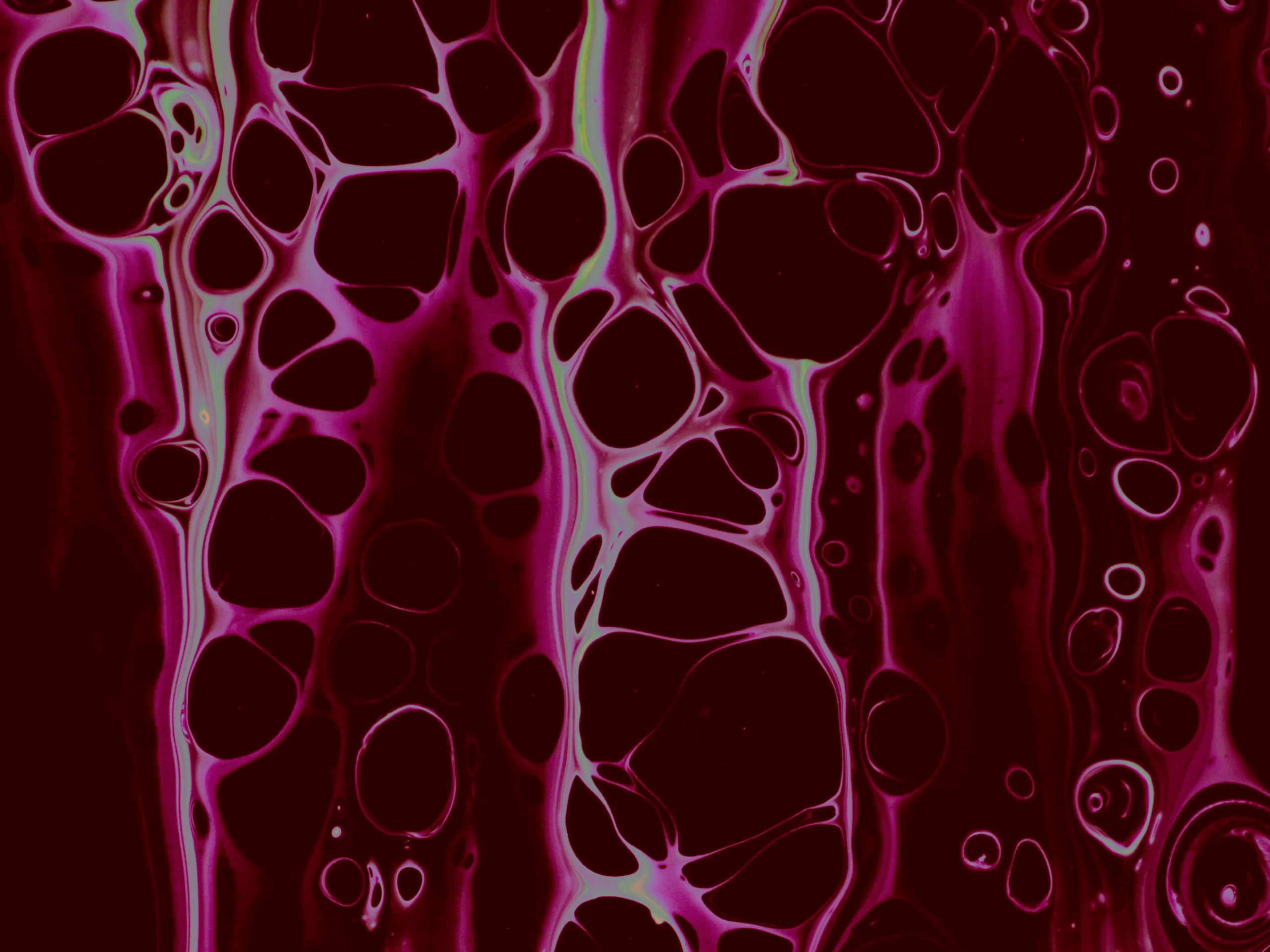 The Triumvirate of Trustworthy AI: How Interoperability, Agentic Expertise, and Compliance De-Risk Your Future