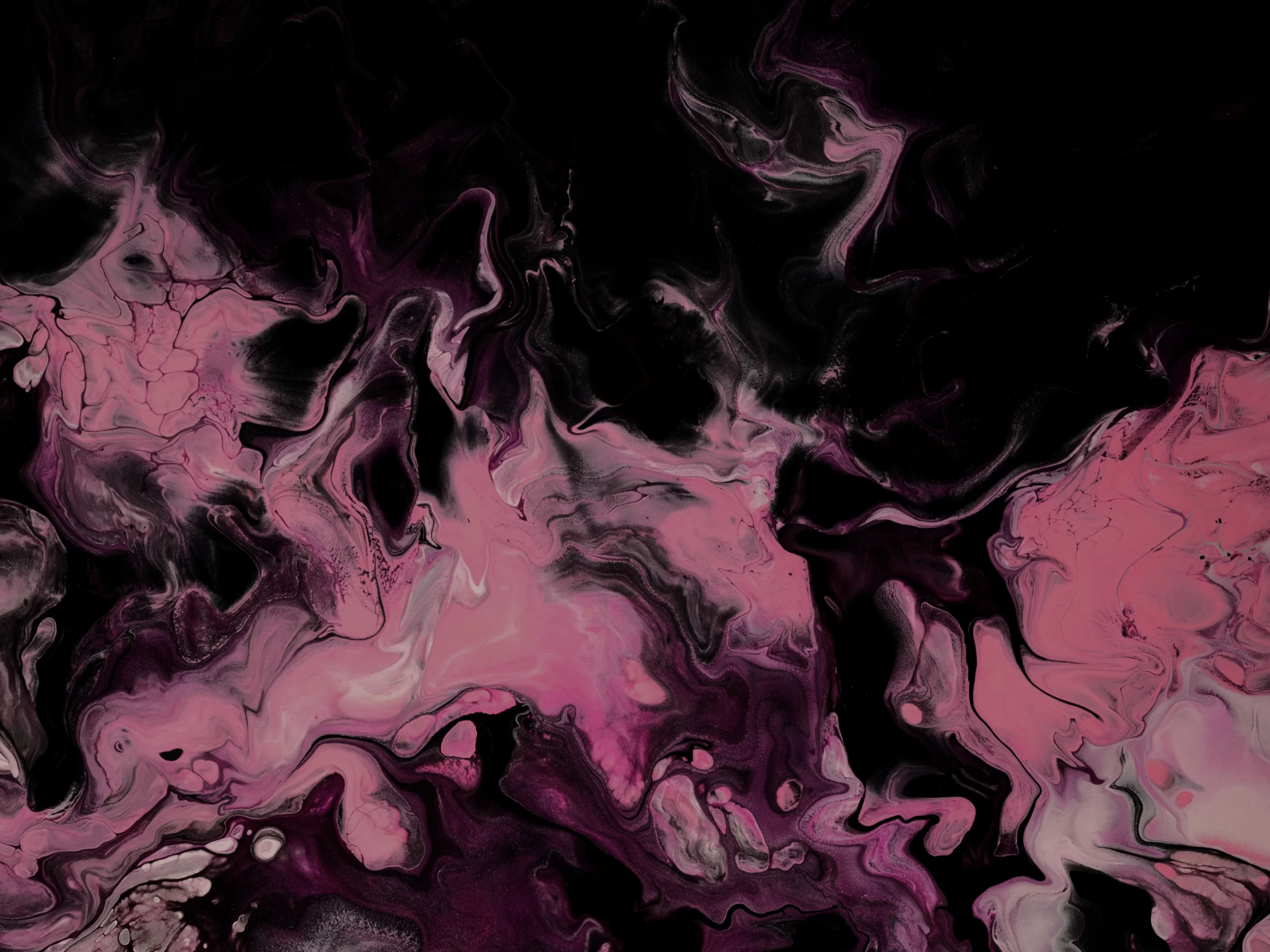 How to Effectively Balance Accuracy and Customer Experience in Automated Claims Decisions